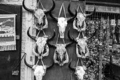 Some yak skulls in Lhasa