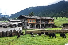 Tibetan house