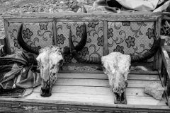 Yak skulls sold near Nam Tso