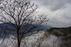 Foggy Tree near Kars, Turkey