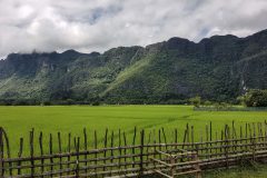 Rice paddies in Kong Lor