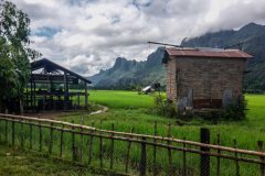 Rice paddies in Kong Lor