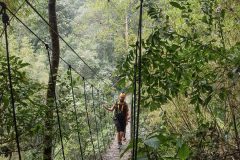 Pakson green discovery zip line tour