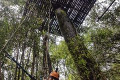 Pakson green discovery zip line tour