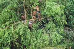 Kids having fun at the Mekong river bed