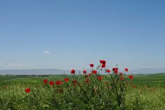 In between Dushanbe and Kulyab