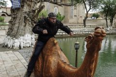 Camel ride in Bukhara