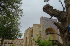 Old City of Bukhara